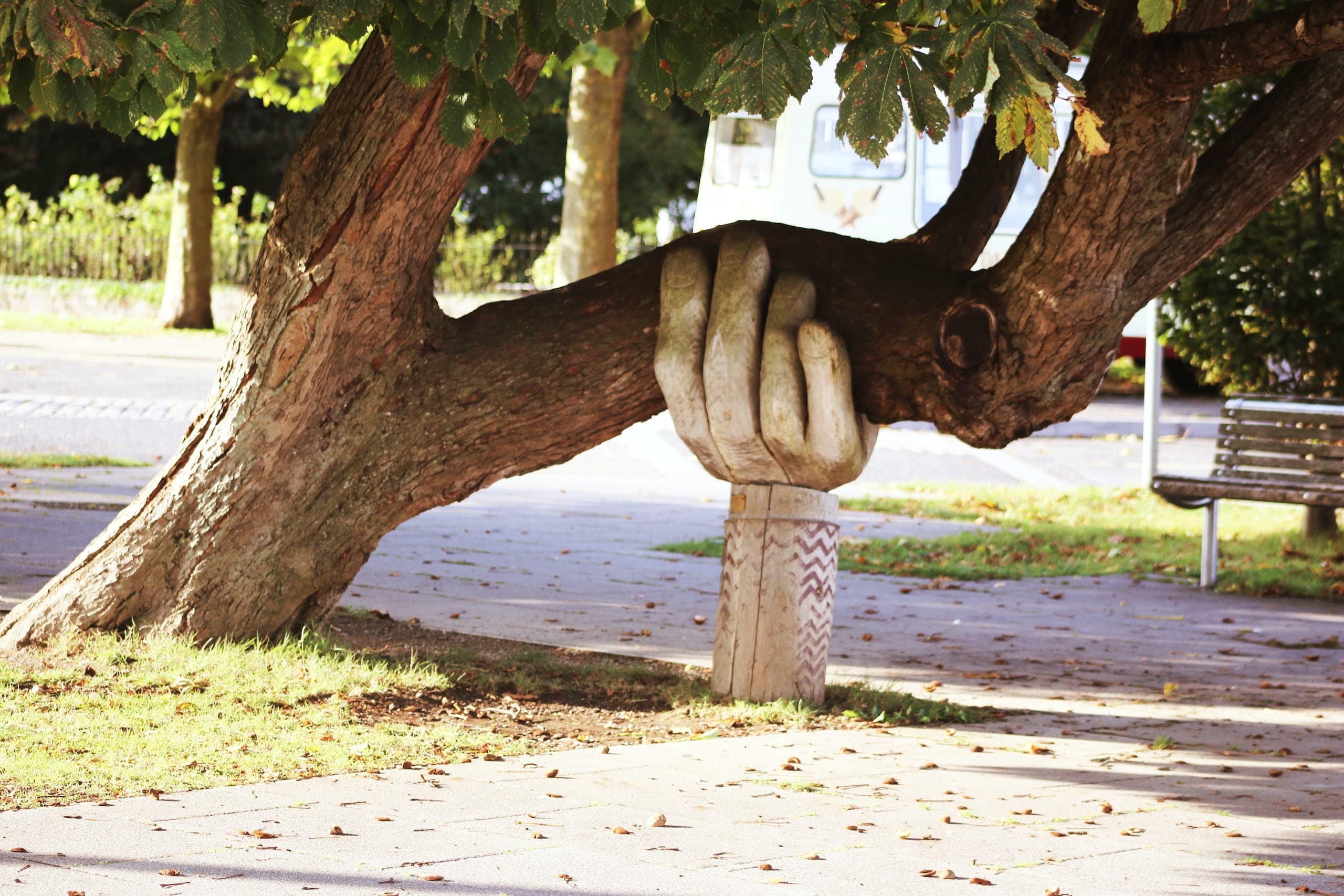 Foto di una mano di legno che sostiene un albero